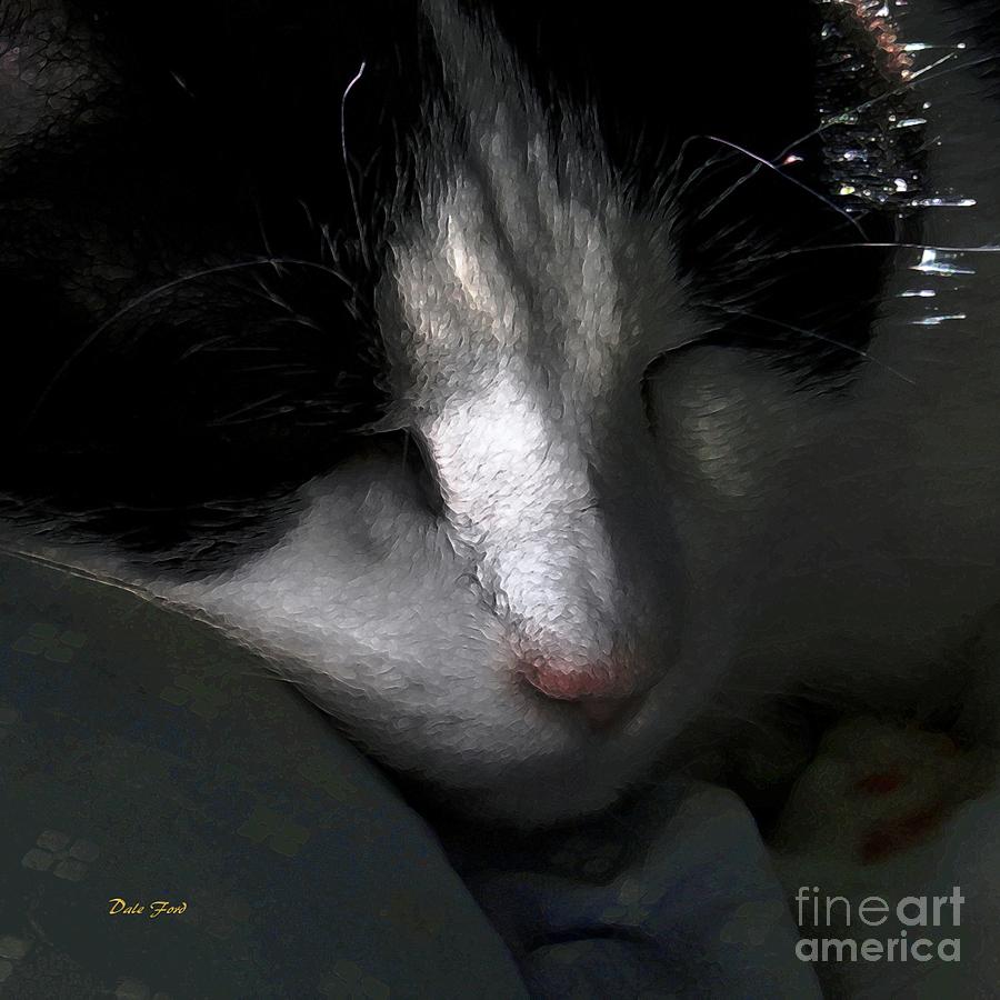 Cat Digital Art - Sweet Dreams 3 by Dale   Ford
