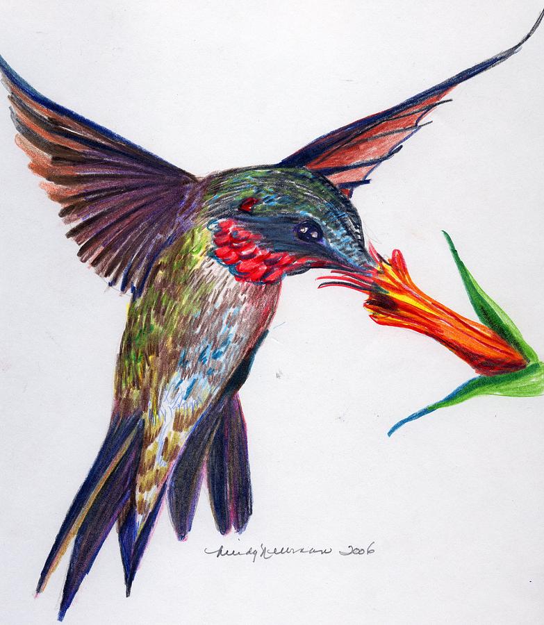 Sweet Nectar Drawing by Mindy Newman