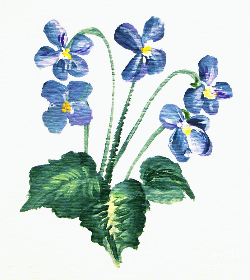 Sweet Violets Painting by Leea Baltes
