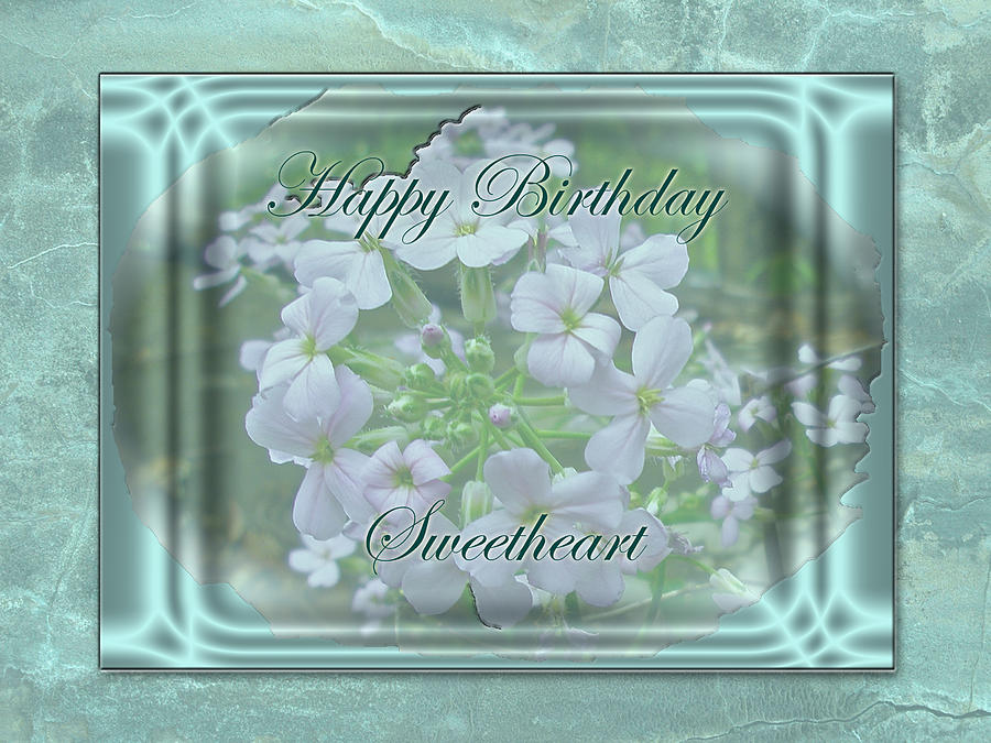 Sweetheart Birthday Greeting Card - Wild Phlox Photograph