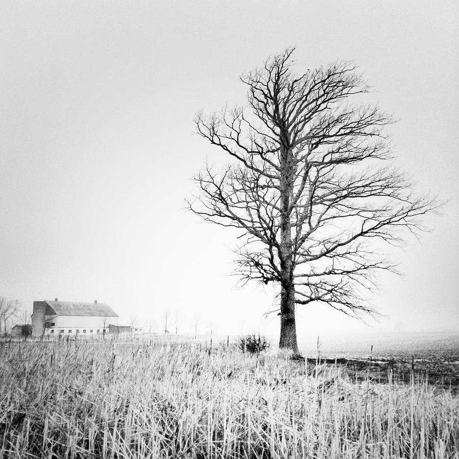 Winter Photograph - Swept by Daniel Berman