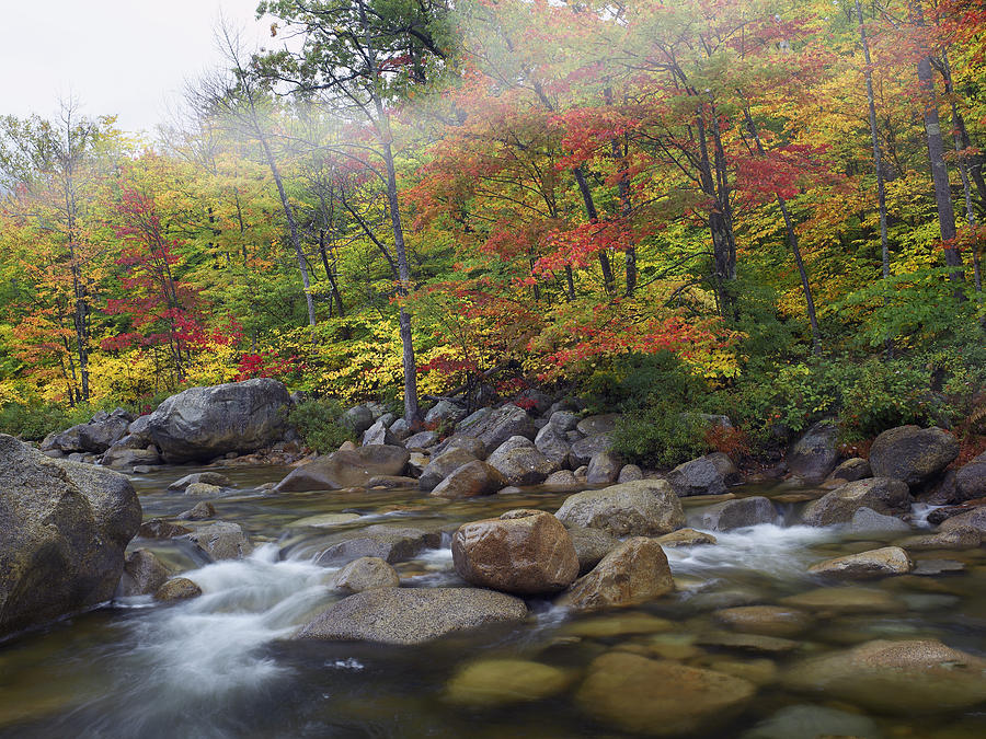 Swift River Flowing Through Fall Photograph by Tim Fitzharris