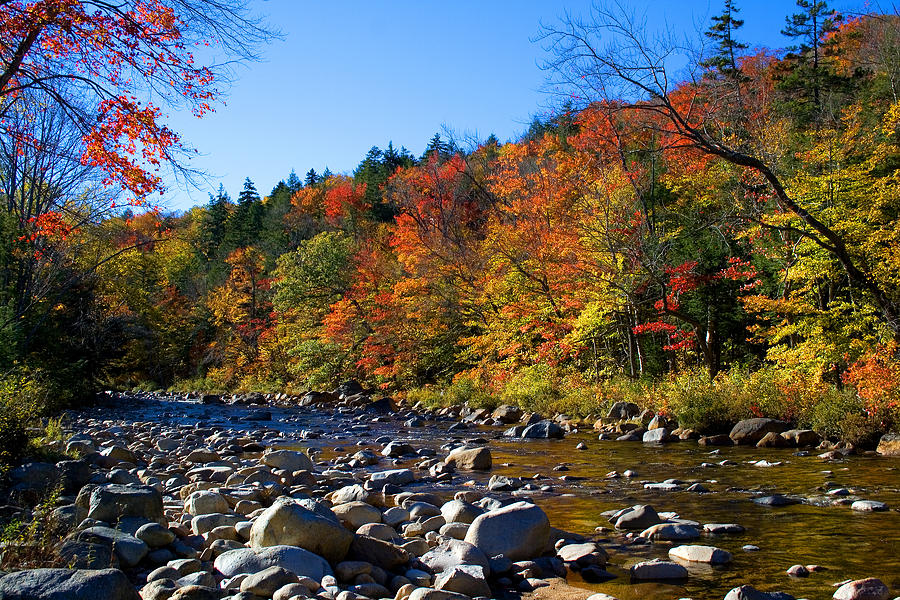 Swift River in Autumn Photograph by Larry Landolfi