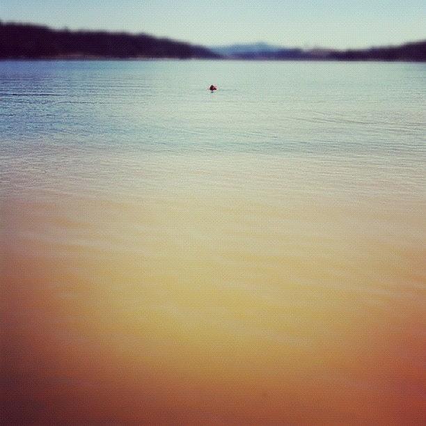 Summer Photograph - Swimming At Hagg Lake. #landscape by Karen Clarke