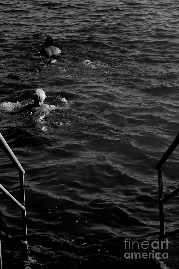 Swimming Away Photograph by Donato Iannuzzi