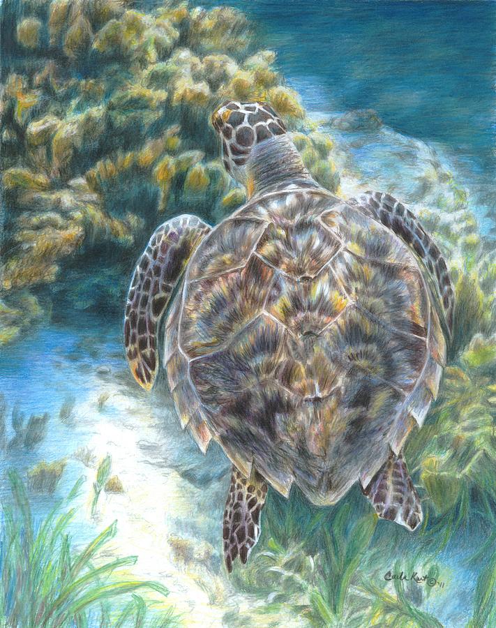 Swimming Turtle Painting by Carla Kurt