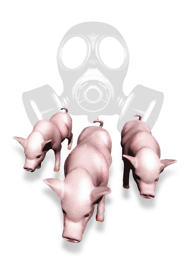 Wildlife Photograph - Swine Flu Protection, Conceptual Image by Victor Habbick Visions
