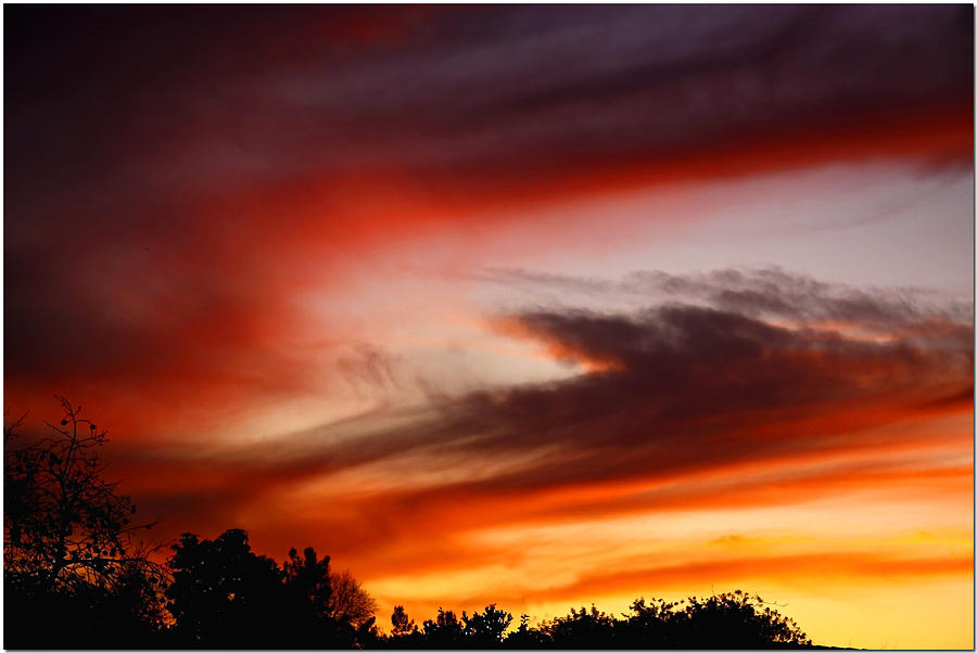 Sunset Photograph - Swirls by Chet King