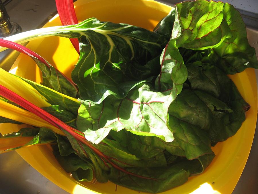 Vegetable Photograph - Swiss Chard by Deb Martin-Webster