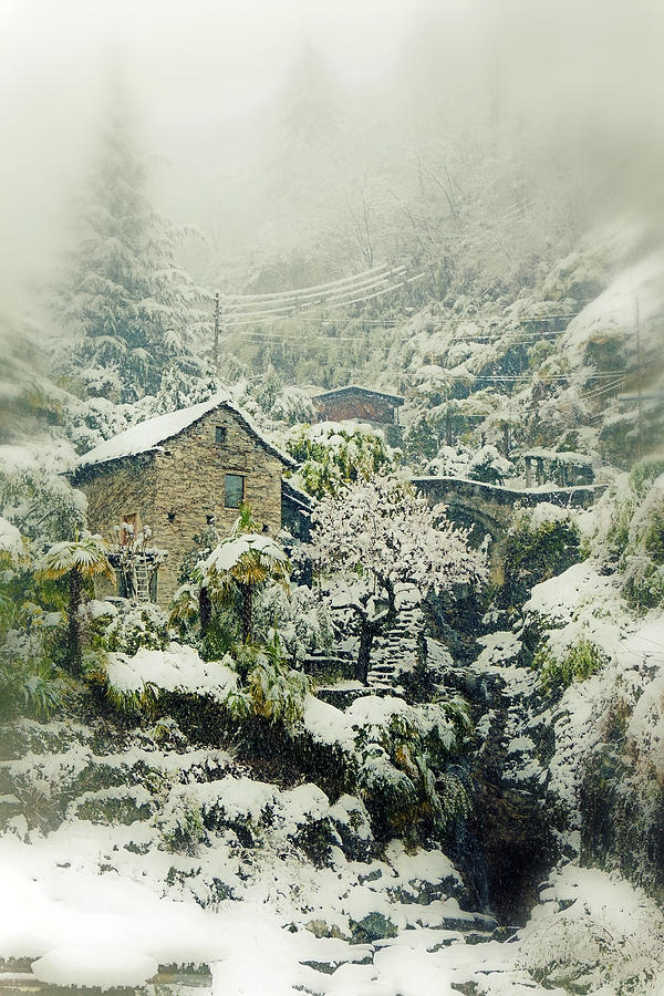 Winter Photograph - Switzerland in winter by Joana Kruse