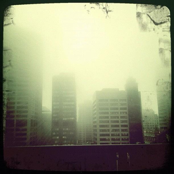 Sydney: Foggier Than I Remembered Photograph by Amy Zilla