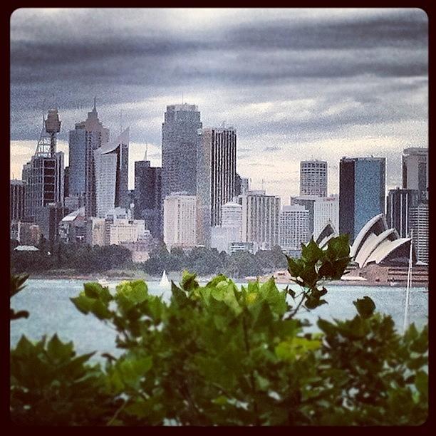 City Photograph - Sydney Harbour by Brent McGilvary