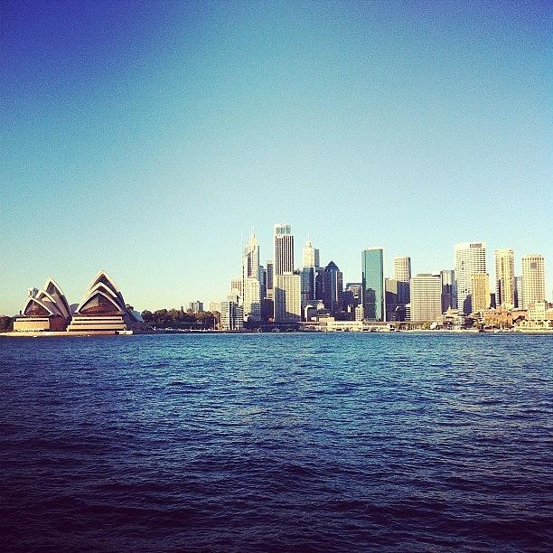 City Photograph - Sydney morning by Nadee Atherton