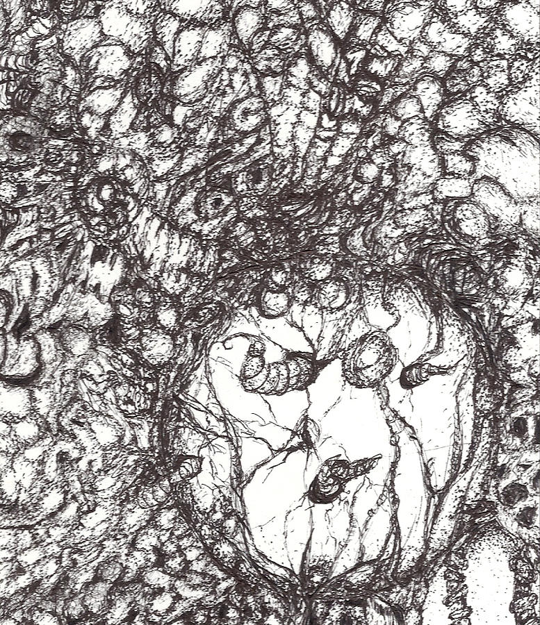 Symbiosis 5 Drawing by Sarah HowlandLudwig Fine Art America