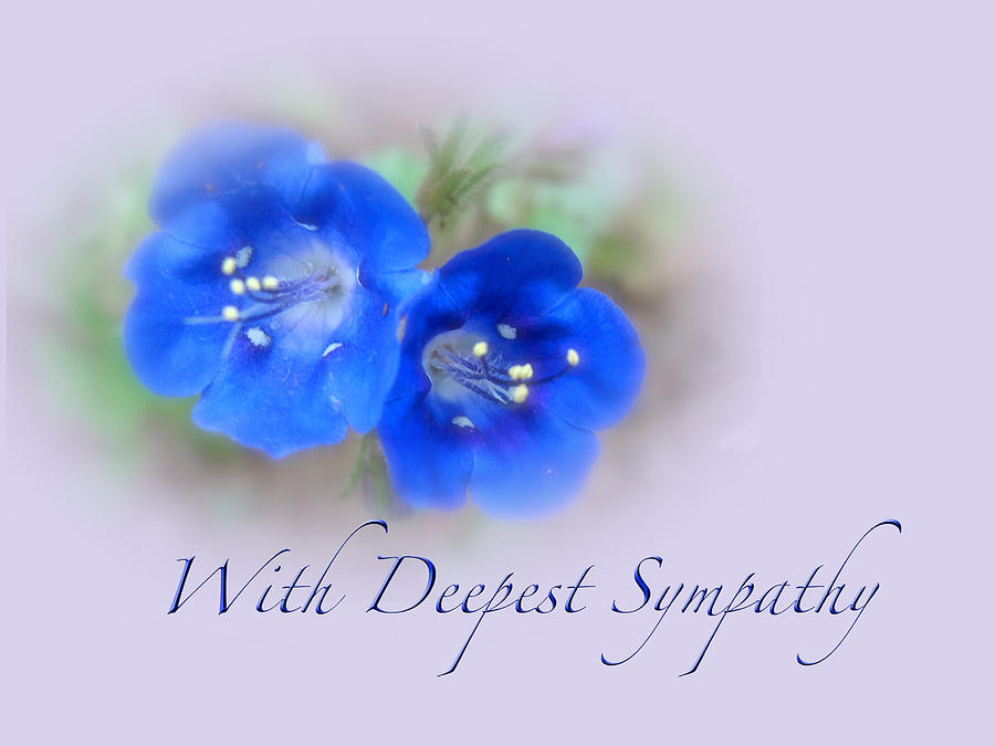 Sympathy Card Blue Wildflower Photograph by Carol Senske Fine Art