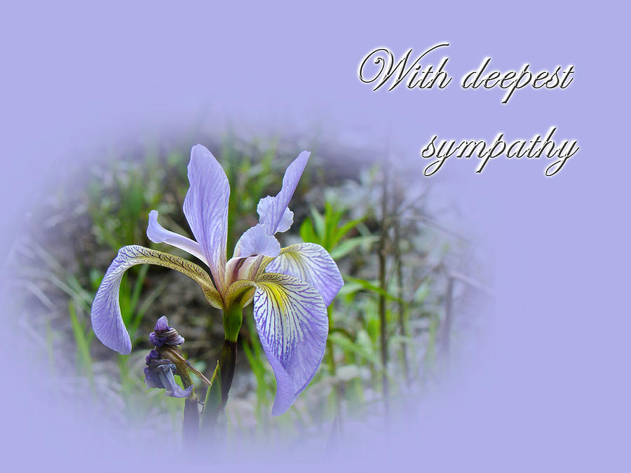 Sympathy Greeting Card - Wild Flag Iris Photograph by Carol Senske
