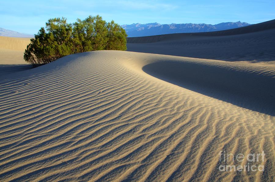 Symphony Of The Sand Photograph by Bob Christopher