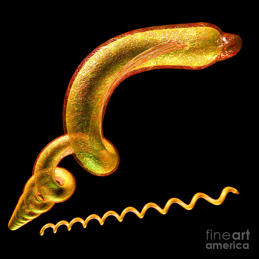 Syphilis Digital Art by Russell Kightley