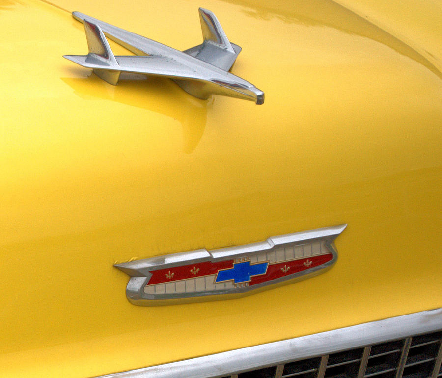T-Bird by J Todd T-Bird by J Todd