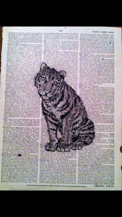 Vintage Drawing - T is for Tiger by Erin Harris