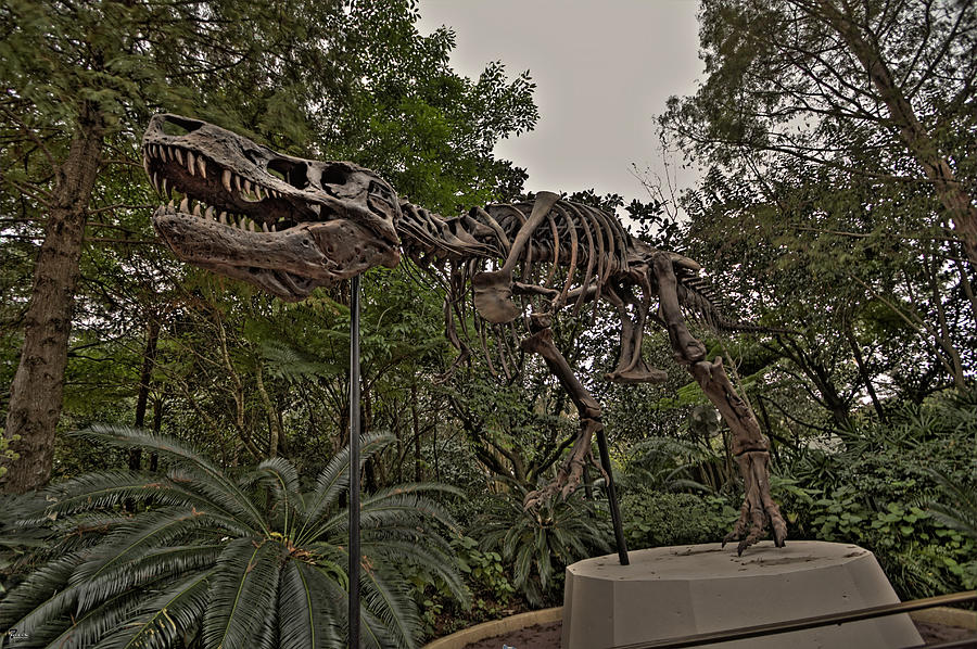 T-Rex HDR Photograph by Jason Blalock