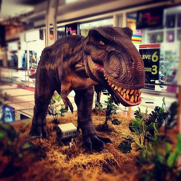 Dino Photograph - T-rex by Luiz Zamorano