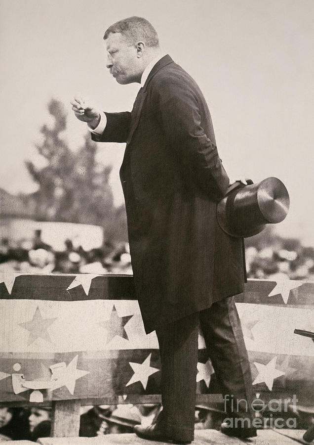 T. Roosevelt: Campaign Photograph by Granger