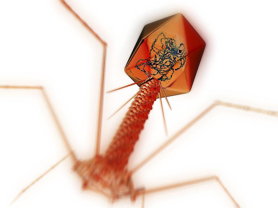 t4-bacteriophage-virus-computer-artwork-photograph-by-pasieka