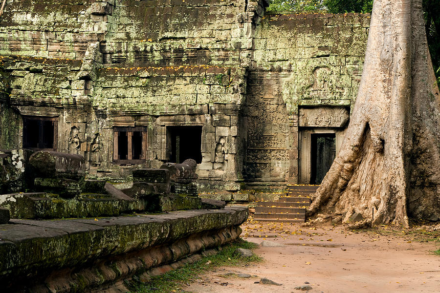 Ta Prohm Temple In Cambodia Photograph by Artur Bogacki