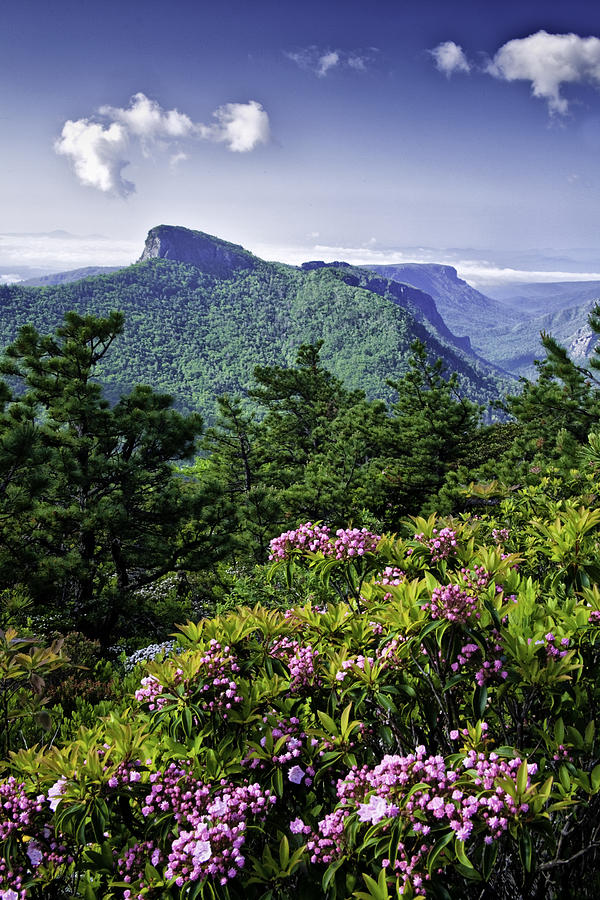 Table Rock Photograph by Rob Travis