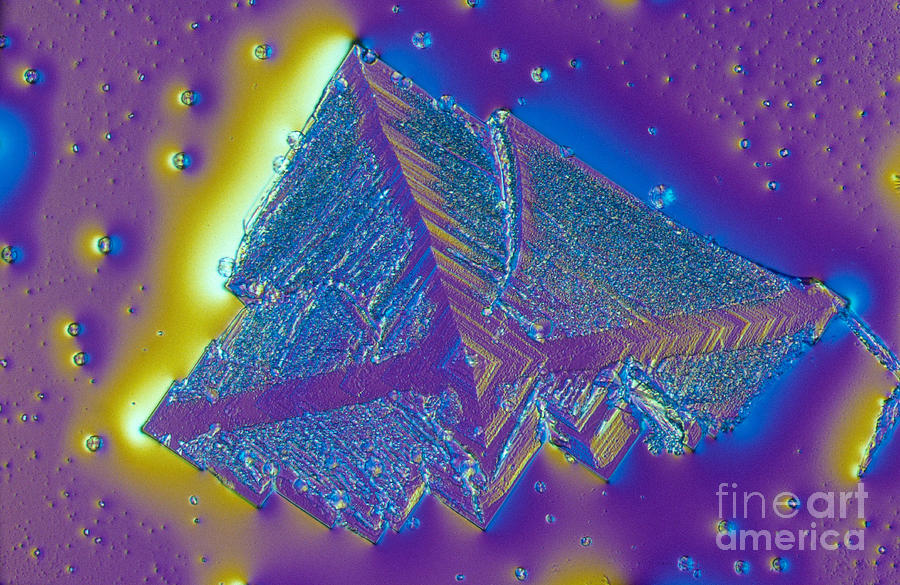 Table Salt Crystal Photograph by Michael W. Davidson - Fine Art America