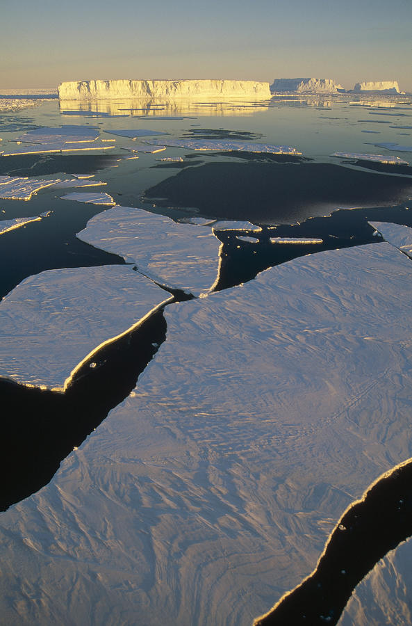 Tabular Icebergs Among Fast Ice Photograph by Tui De Roy