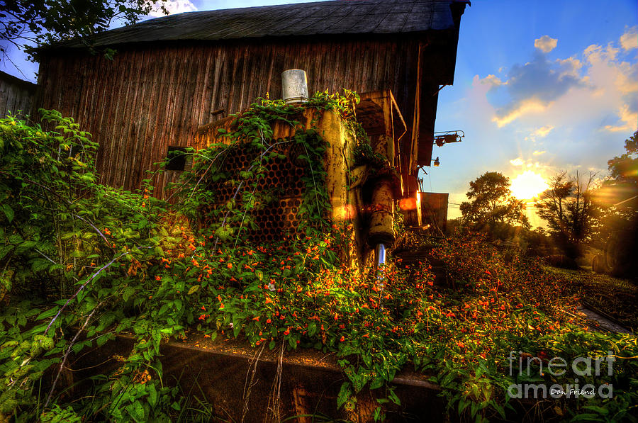 Tactor overgrown with flowers and weeds at sunset Photograph by Dan Friend