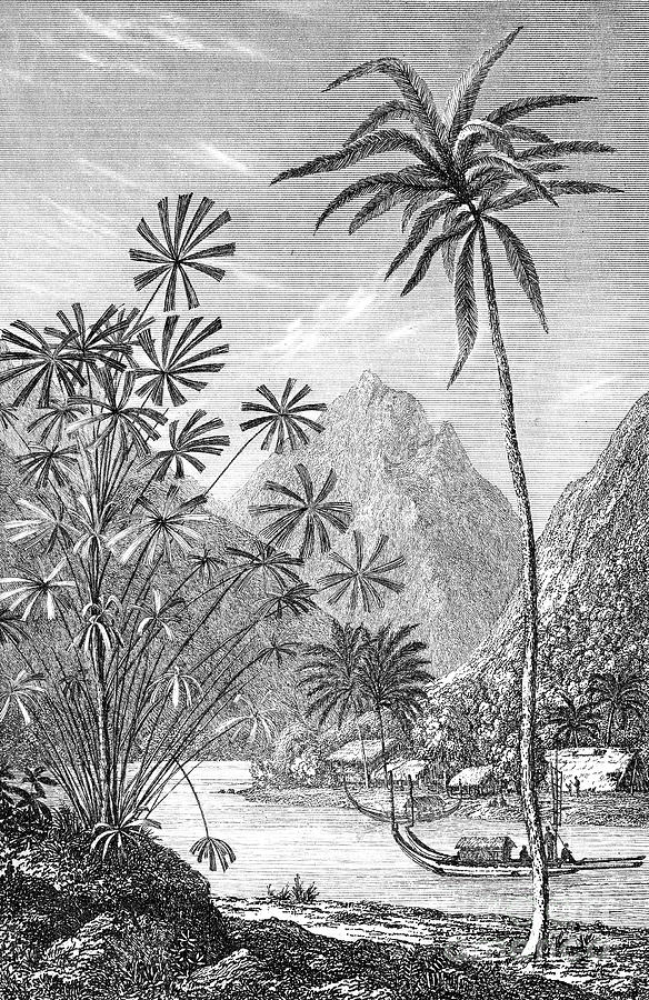 Boat Photograph - Tahiti, 1831 by Granger