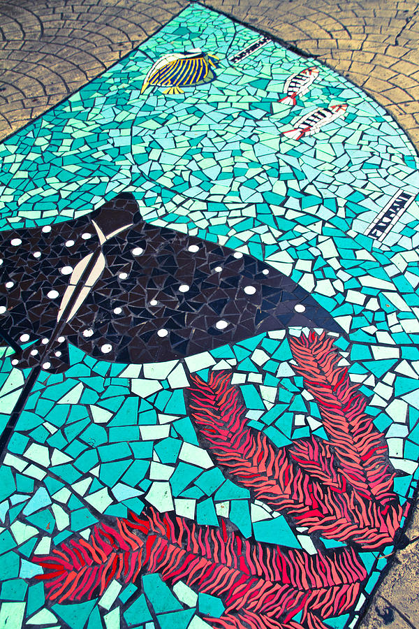 Mosaic Photograph - Tahiti Sidewalk by Jonathan Hansen
