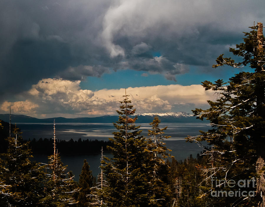Tahoe Spring Photograph by Mitch Shindelbower