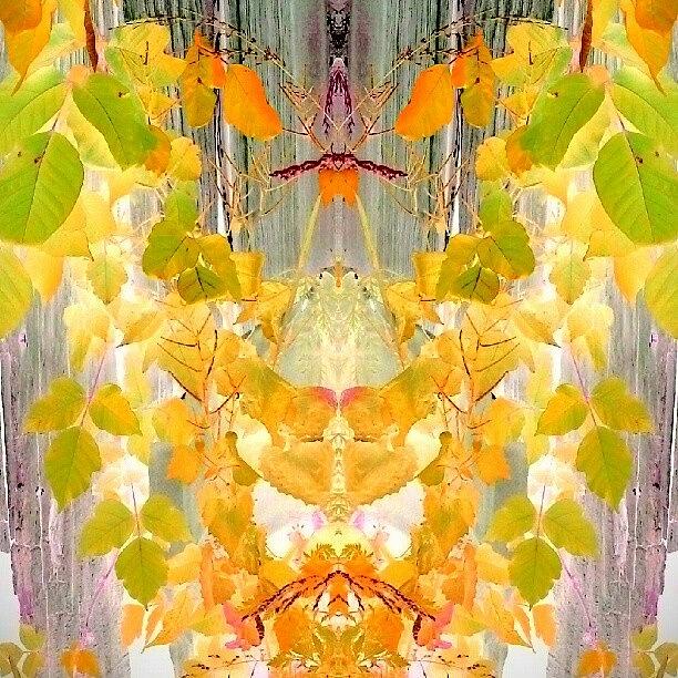 Abstract Photograph - Take Me To Your Leader #android #art by Marianne Dow