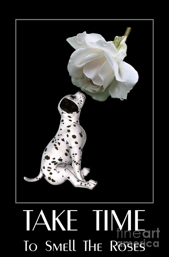 Take Time To Smell The Roses Quote Digital Art by Smilin Eyes Treasures