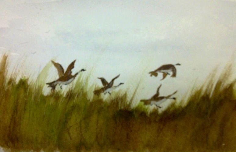 Taking Flight Marsh Manitoba Painting by Desmond Raymond