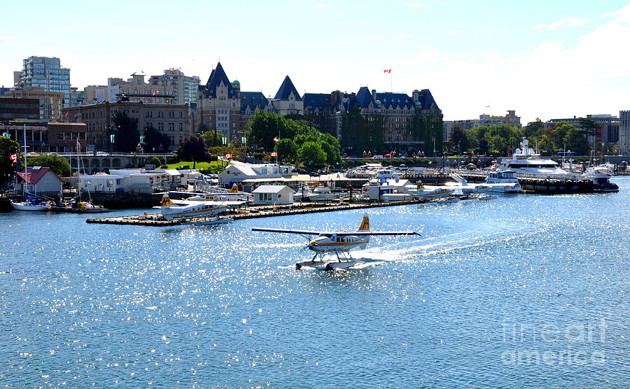Taking Off At The Victoria Inner Harbor Photograph by Tatyana Searcy