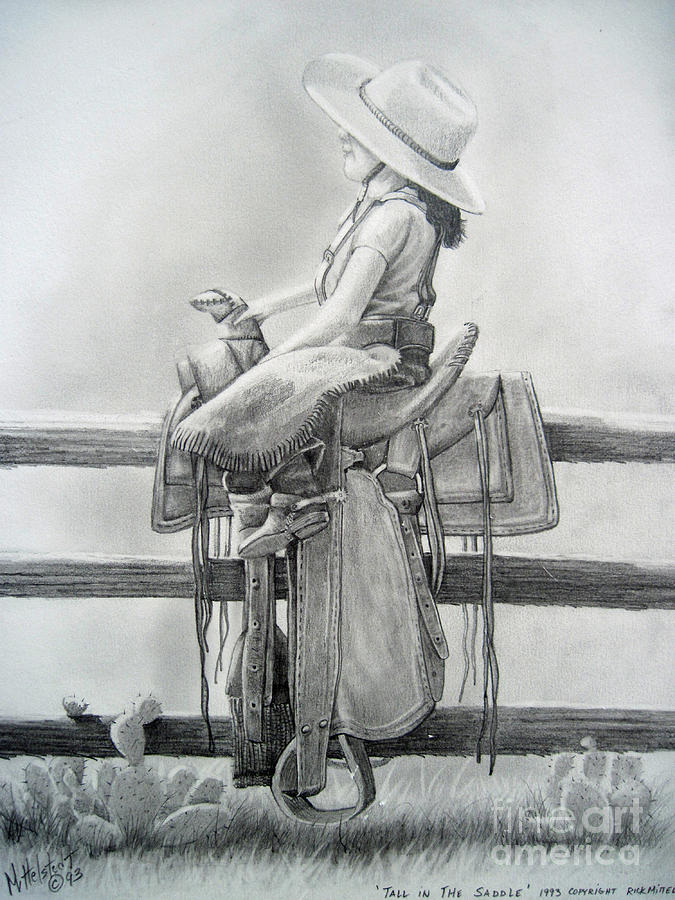 saddle drawing