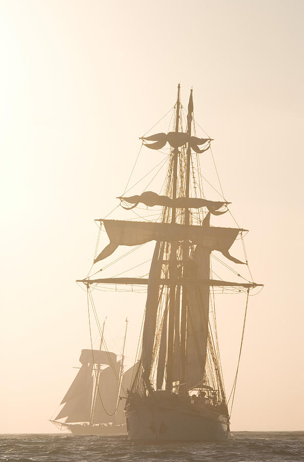 Tall ships Festival Photograph by Cliff Wassmann