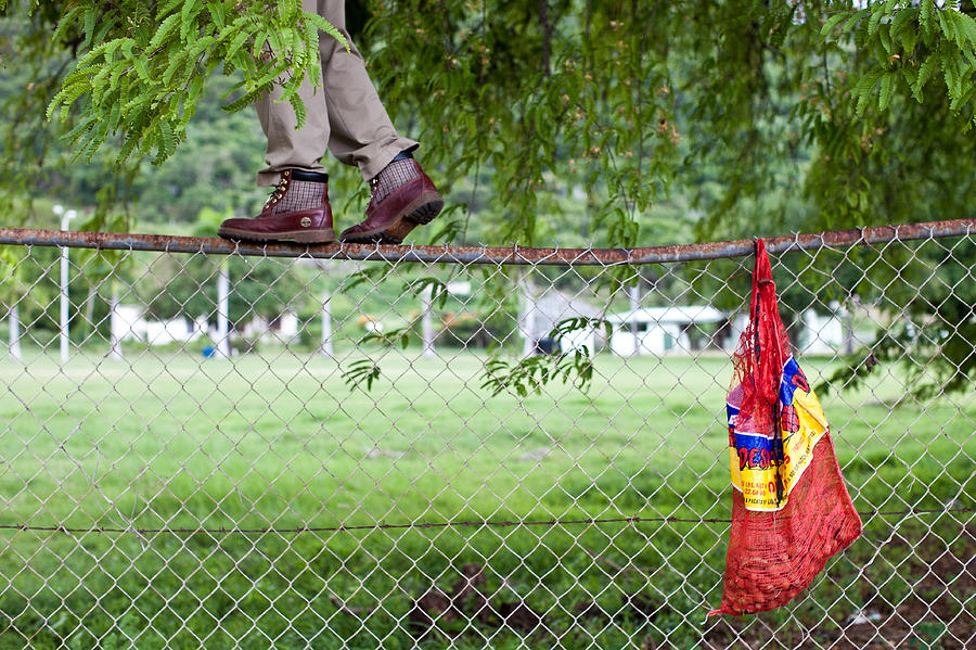 Tamarind picking on a fence Photograph by Anya Brewley schultheiss