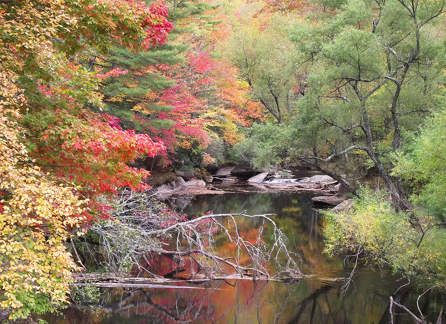 Tanasee Creek in the Fall Photograph by Duane McCullough