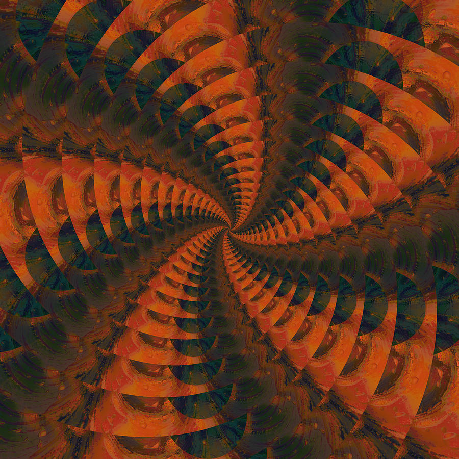 Tangerine Whirls Digital Art by Bonnie Bruno