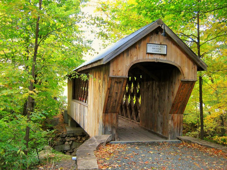 Tannery Hill Covered Bridge Photograph by Wayne Toutaint