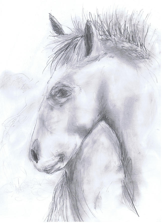 Taos Horse Drawing by Marilyn Barton