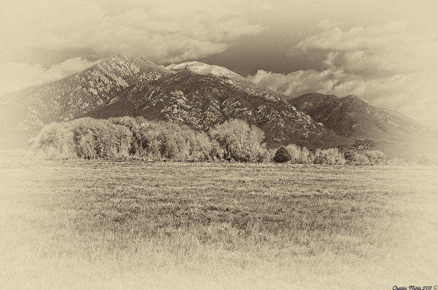 Taos mountain as antique plate Digital Art by Charles Muhle