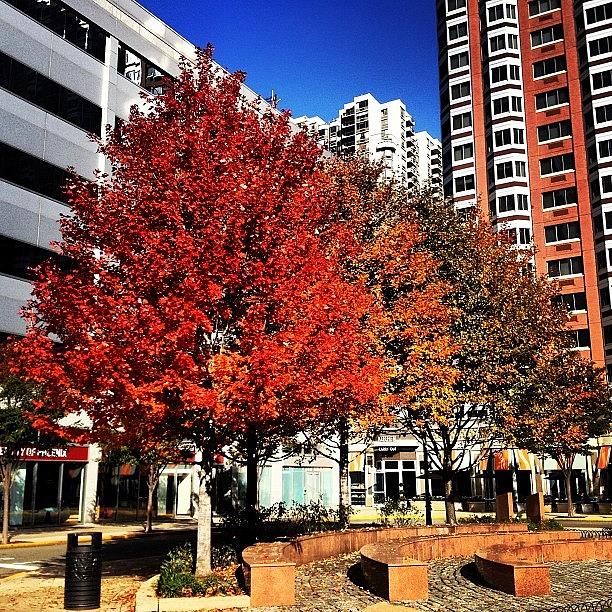 Fall Photograph - Tape/change #fallchanges #seasonal by Michael Loughran