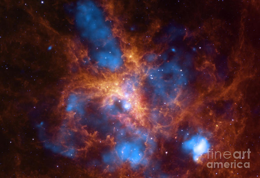 Space Photograph - Tarantula Nebula 30 Doradus by NASA/Science Source